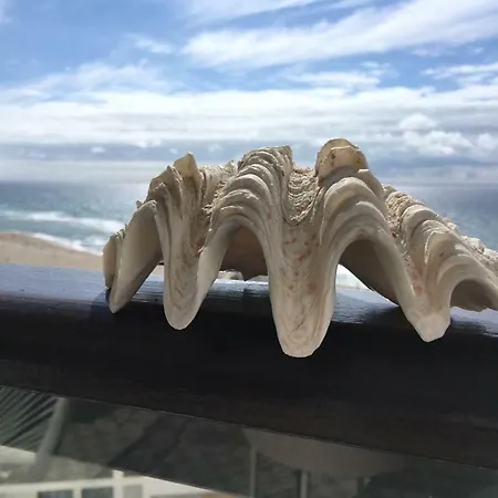 Salty House - Casa Salgada Διαμέρισμα Foz do Arelho