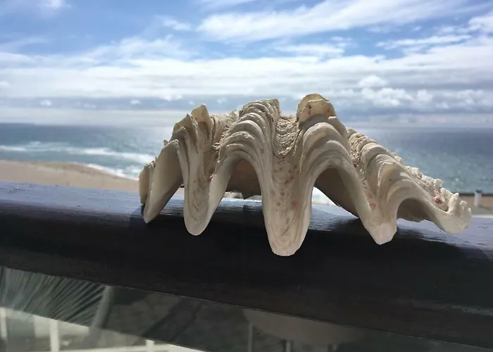 Salty House - Casa Salgada Apartamento Foz do Arelho